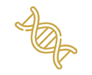 Home Cambridge Research and Publications -cambridgeresearchandpublications.com